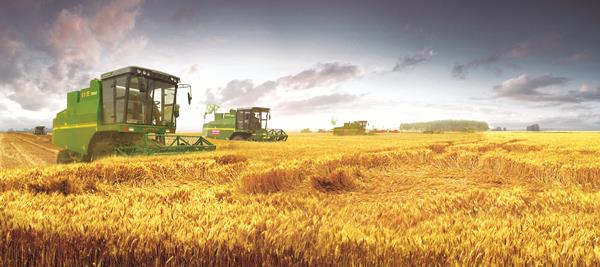 世界杯投注-世界杯足球投注平台  世界杯投注平台支持全程赛事竞猜，数据同步、赔率实时更新，是球迷畅玩世界杯足球投注的理想选择。