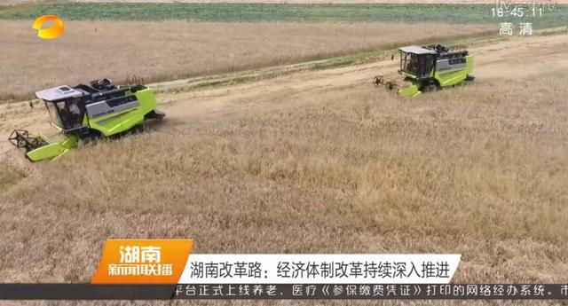 世界杯投注-世界杯足球投注平台  世界杯投注平台支持全程赛事竞猜，数据同步、赔率实时更新，是球迷畅玩世界杯足球投注的理想选择。